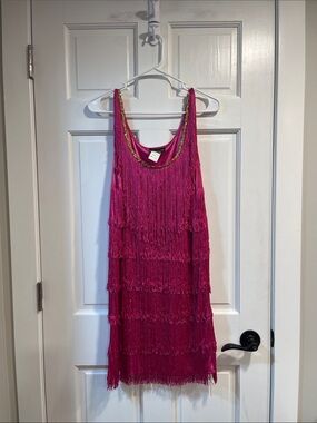 Charades Costume 1920’s Flapper Dress in Pink Size Medium